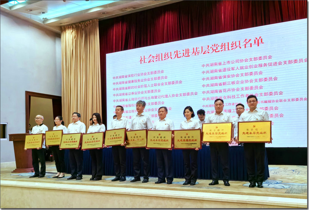 喜讯：湖南省健康服务业协会党支部再度荣获社会组织“先进基层党组织”称号
